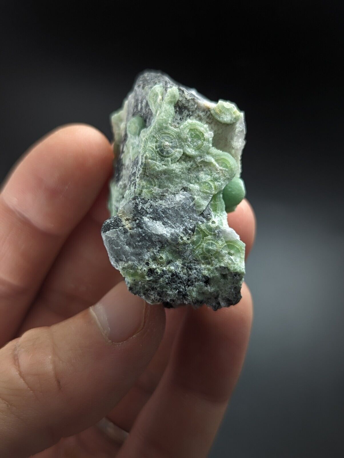 Wavellite on Quartz - Excellent Crystallization - Mauldin Mountain Arkansas - Collectibles:Rocks Fossils &