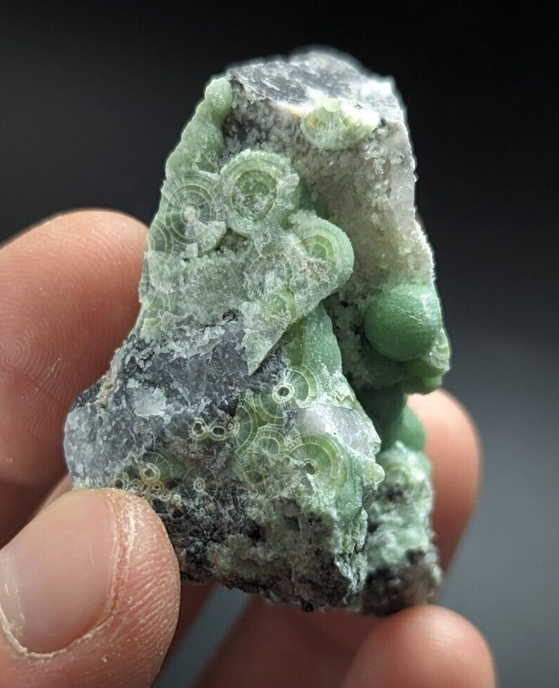 Wavellite on Quartz - Excellent Crystallization - Mauldin Mountain Arkansas - Collectibles:Rocks Fossils &