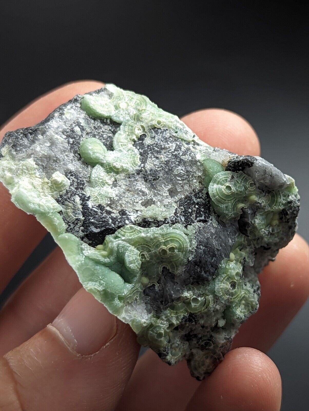 Wavellite on Quartz - Excellent Crystallization - Mauldin Mountain Arkansas - Collectibles:Rocks Fossils &