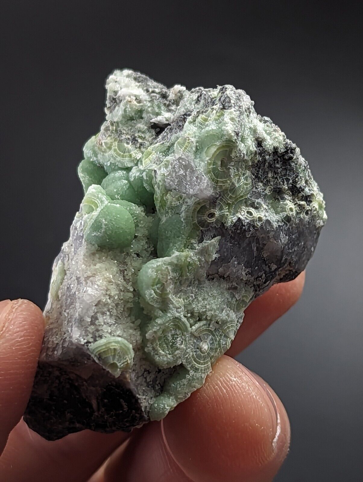 Wavellite on Quartz - Excellent Crystallization - Mauldin Mountain Arkansas - Collectibles:Rocks Fossils &