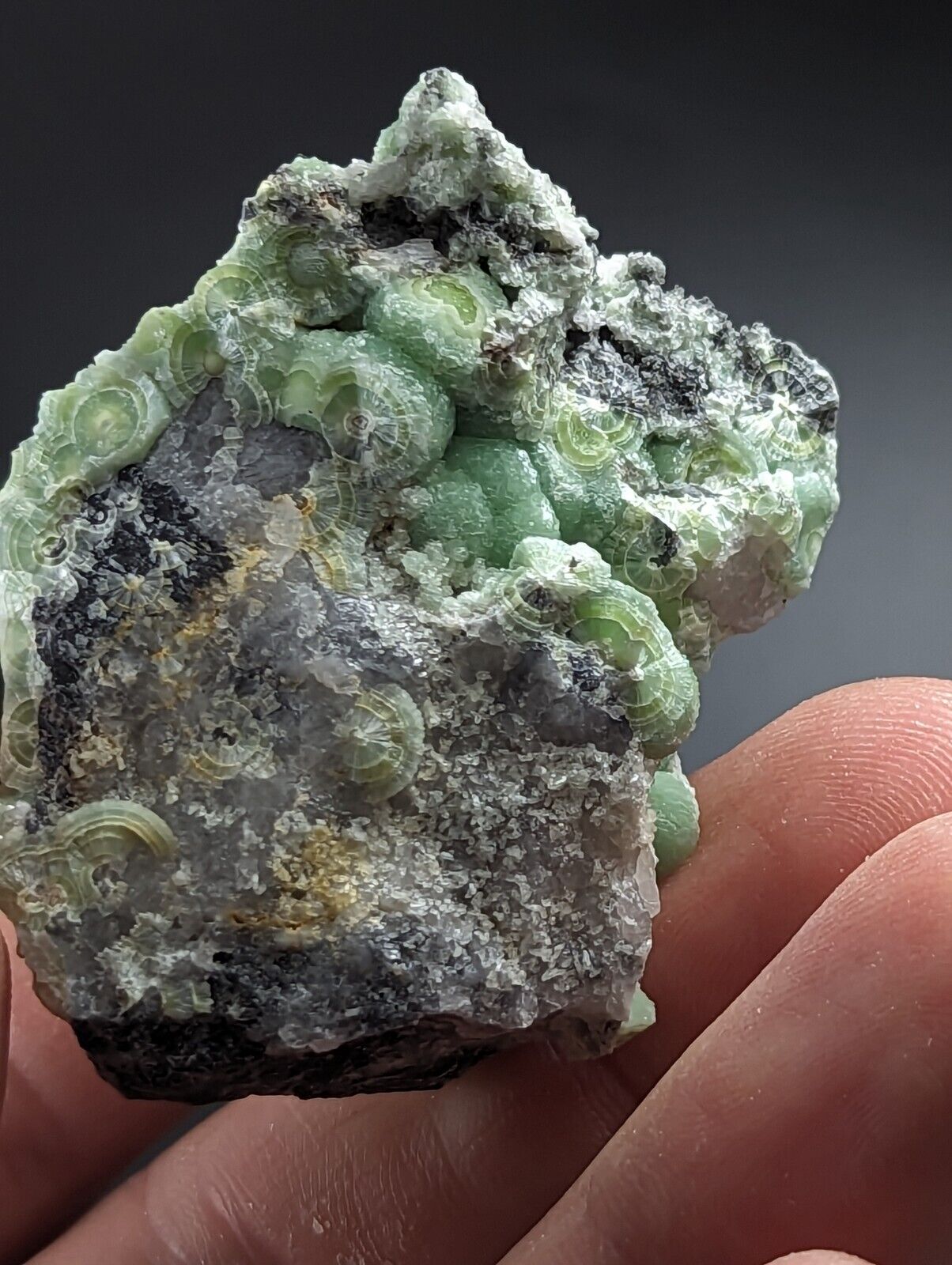 Wavellite on Quartz - Excellent Crystallization - Mauldin Mountain Arkansas - Collectibles:Rocks Fossils &