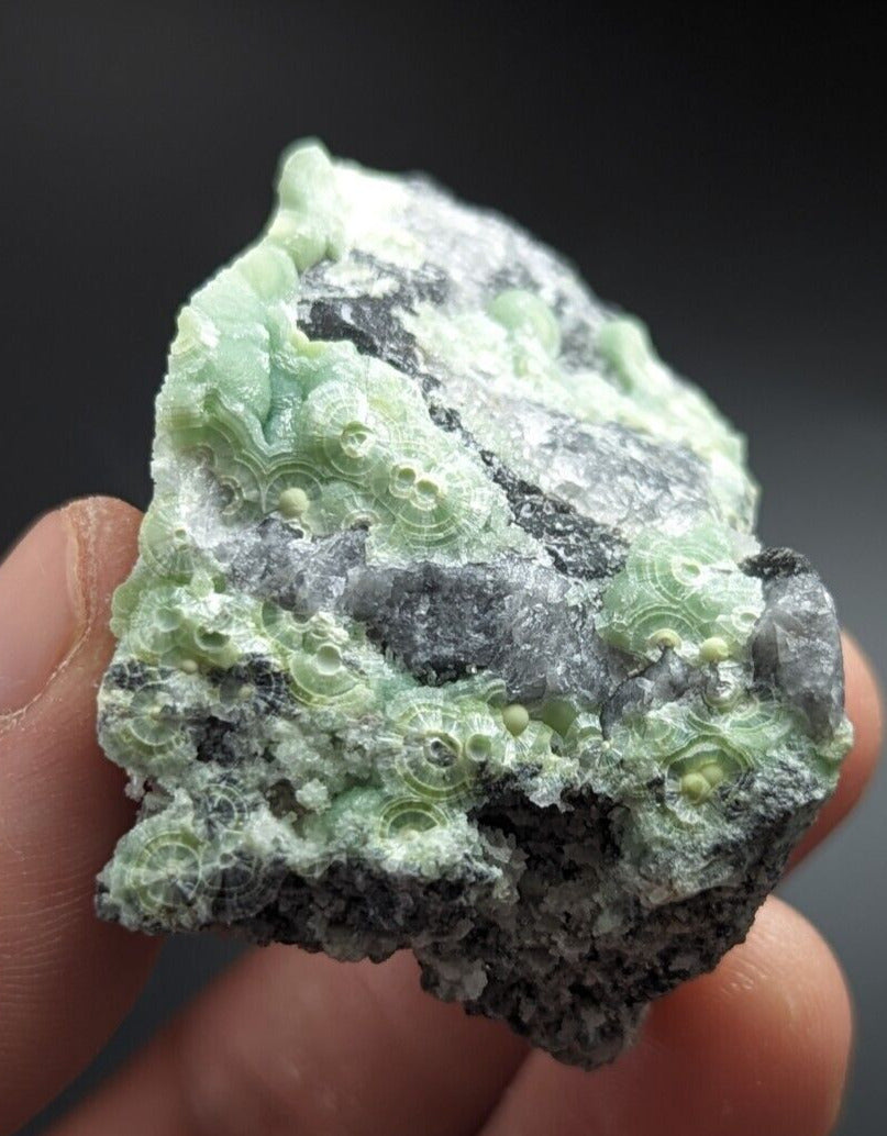 Wavellite on Quartz - Excellent Crystallization - Mauldin Mountain Arkansas - Collectibles:Rocks Fossils &