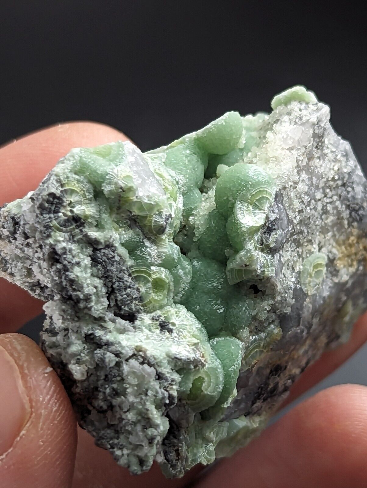 Wavellite on Quartz - Excellent Crystallization - Mauldin Mountain Arkansas - Collectibles:Rocks Fossils &