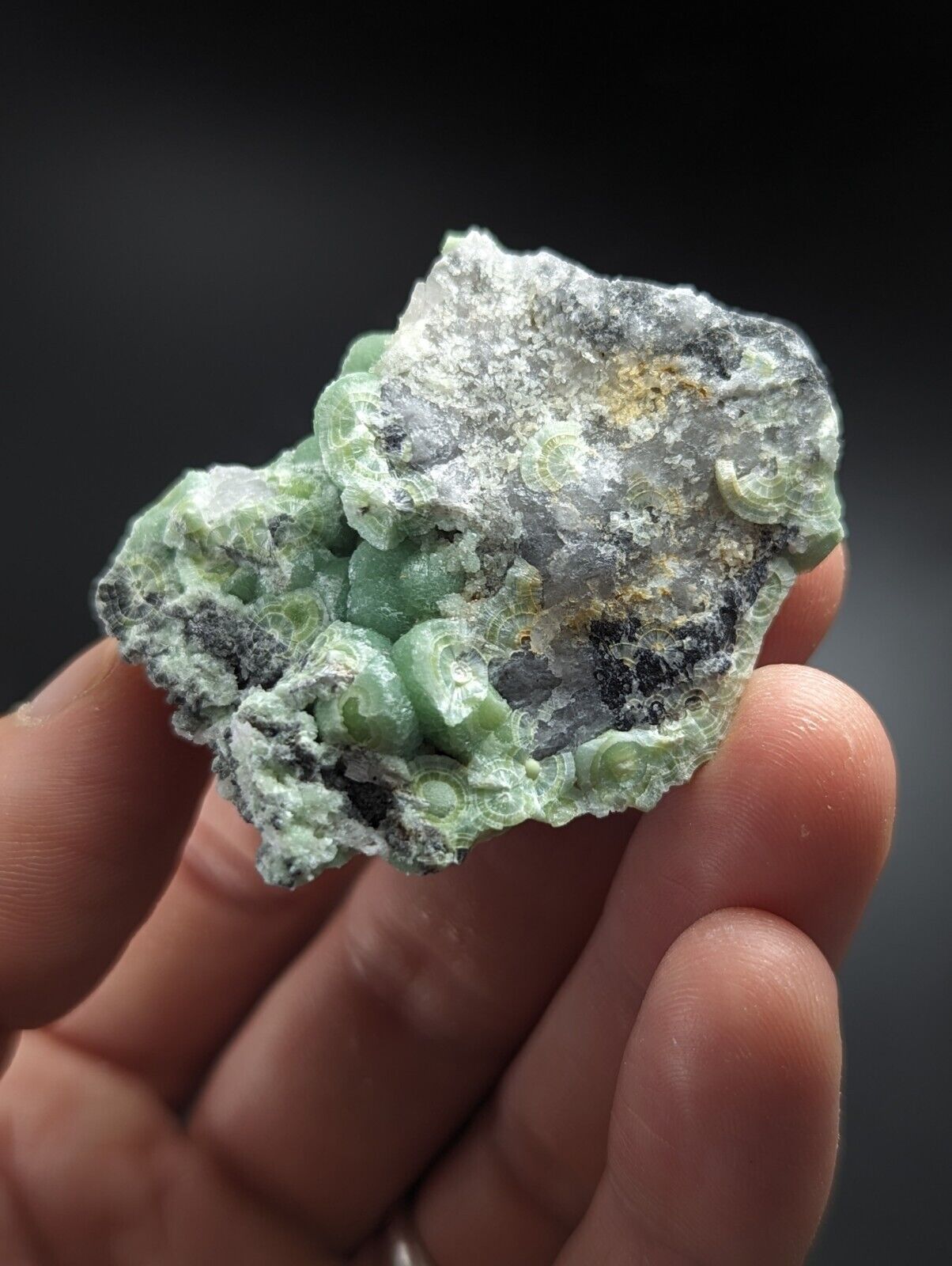 Wavellite on Quartz - Excellent Crystallization - Mauldin Mountain Arkansas - Collectibles:Rocks Fossils &