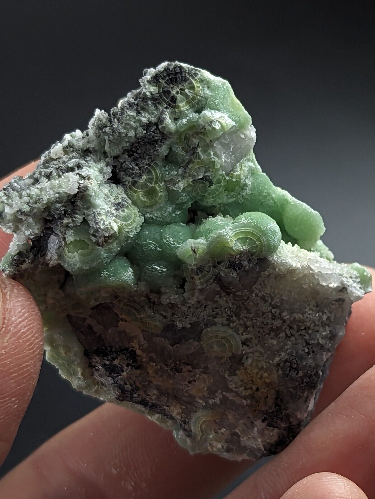 Wavellite on Quartz - Excellent Crystallization - Mauldin Mountain Arkansas - Collectibles:Rocks Fossils &