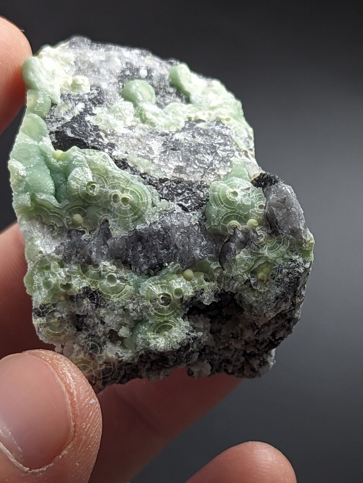 Wavellite on Quartz - Excellent Crystallization - Mauldin Mountain Arkansas - Collectibles:Rocks Fossils &