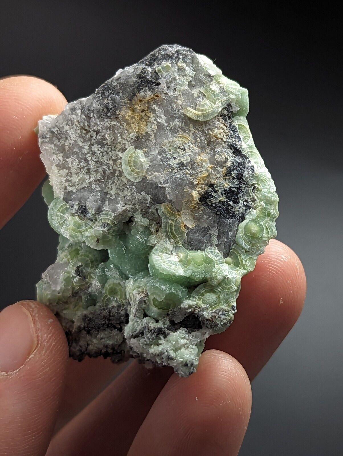 Wavellite on Quartz - Excellent Crystallization - Mauldin Mountain Arkansas - Collectibles:Rocks Fossils &