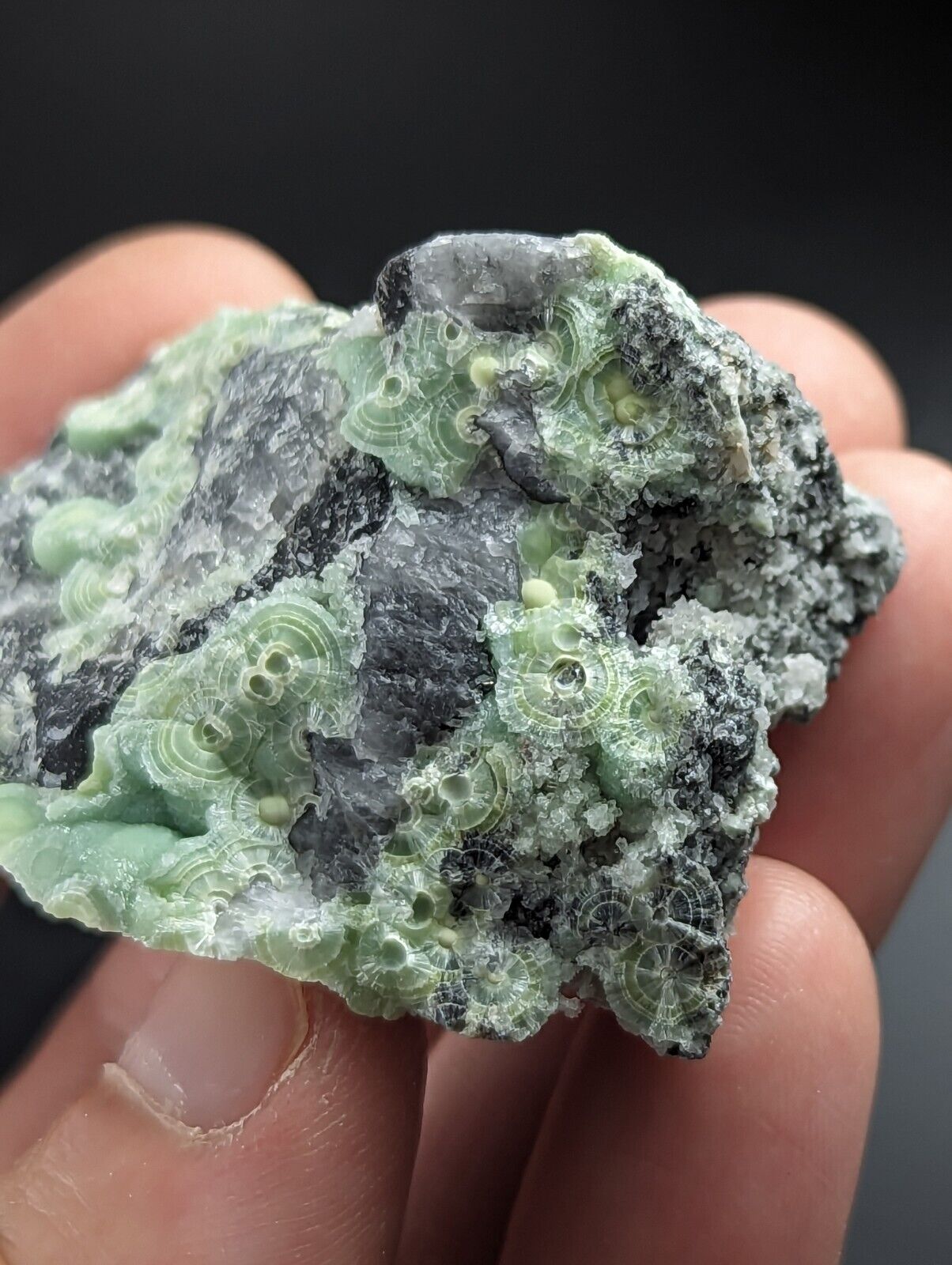 Wavellite on Quartz - Excellent Crystallization - Mauldin Mountain Arkansas - Collectibles:Rocks Fossils &