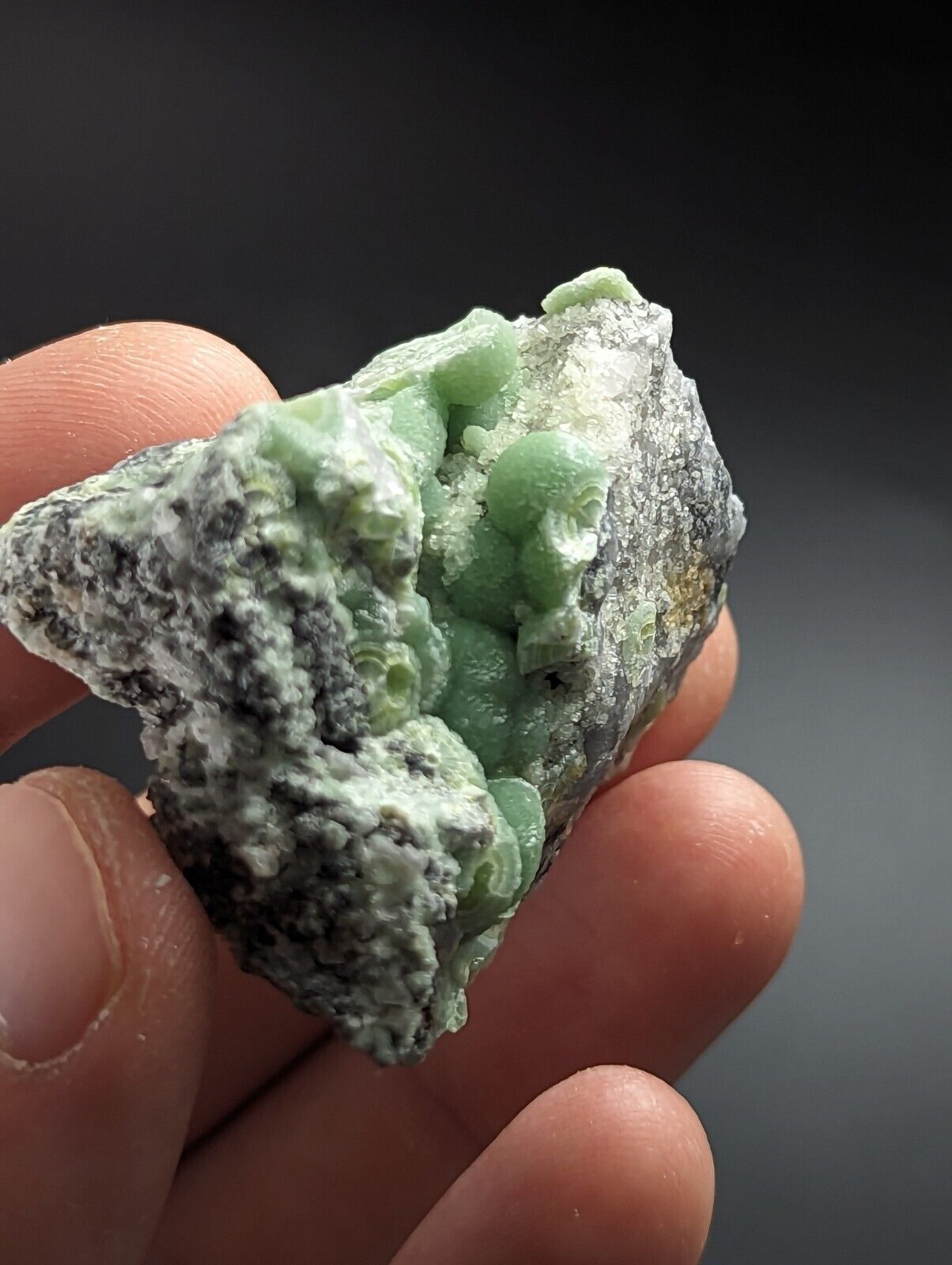 Wavellite on Quartz - Excellent Crystallization - Mauldin Mountain Arkansas - Collectibles:Rocks Fossils &