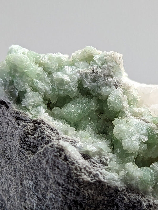 Wavellite on Quartz - Fantastic 1990s Old Stock - Mauldin Mountain Arkansas - Collectibles:Rocks Fossils &