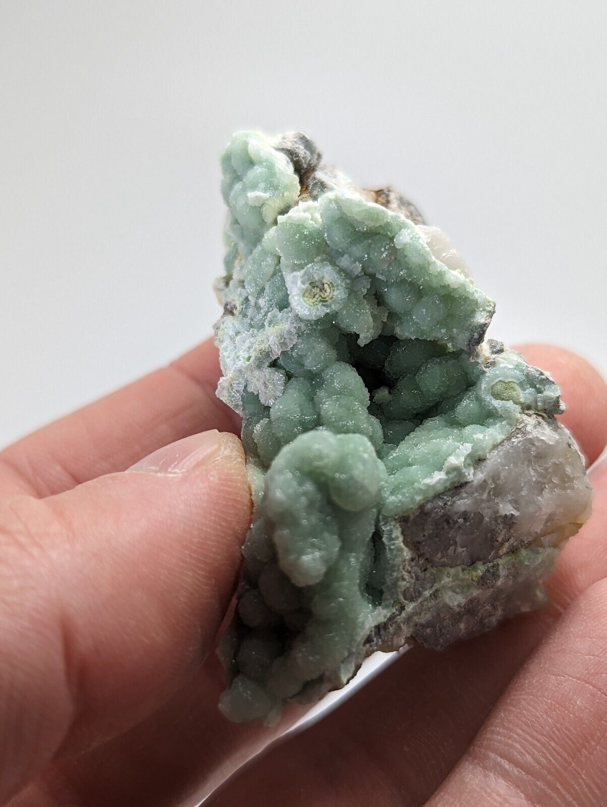 Wavellite on Quartz - Mauldin Mountain Arkansas - Collectibles:Rocks Fossils & Minerals:Crystals Mineral