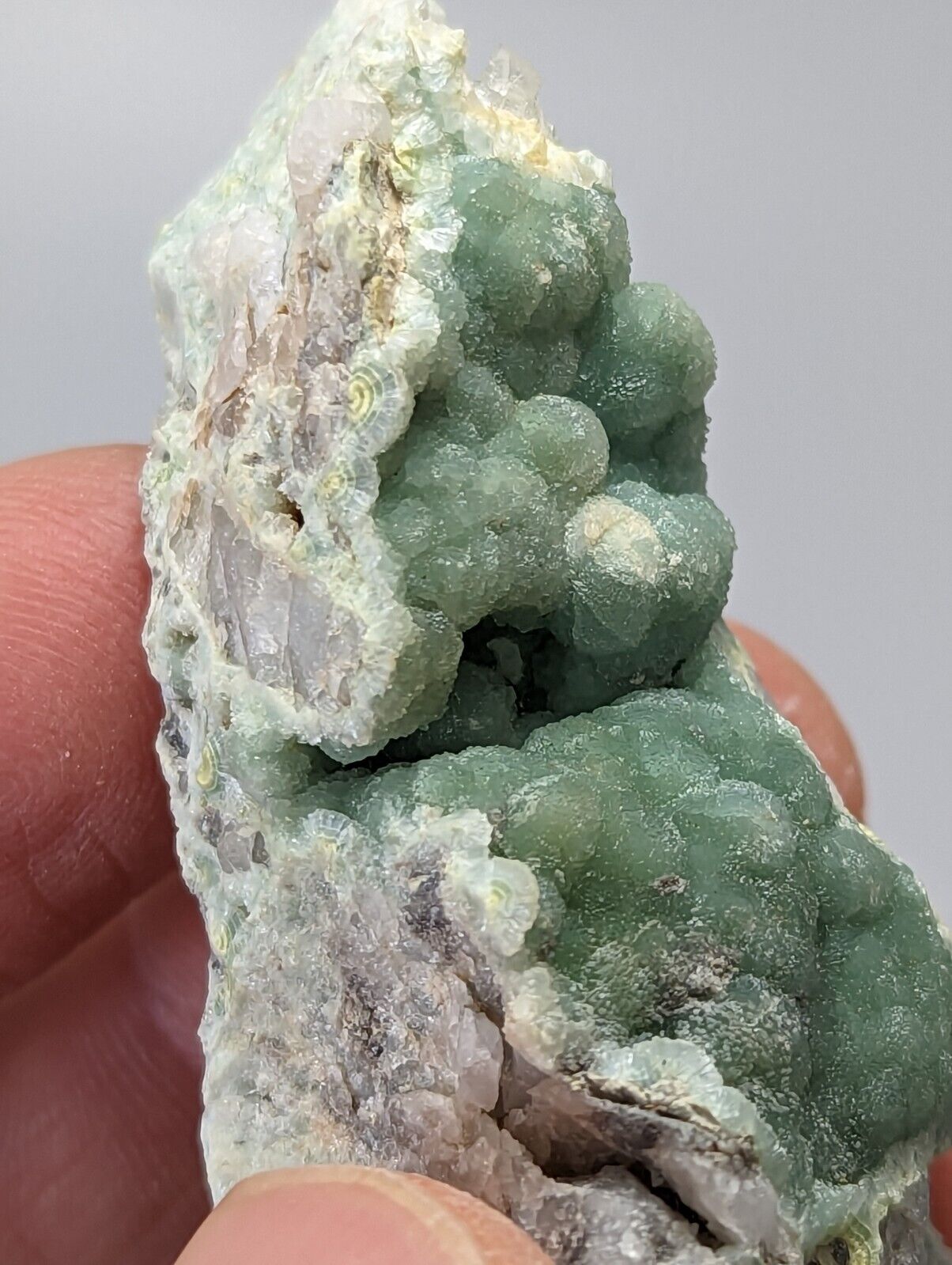 Wavellite on Quartz - Mauldin Mountain Montgomery County Arkansas - Collectibles:Rocks Fossils & Minerals:Crystals