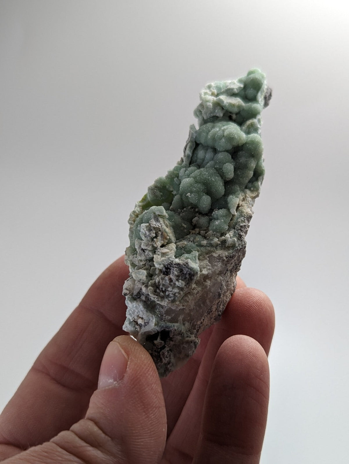 A hand holds a pale green, textured mineral specimen with clustered crystalline formations against a plain background.