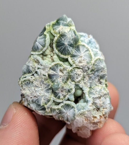 Wavellite in Quartz Mauldin Mountain Very Rare 1960s Old Stock Arkansas - Collectibles:Rocks Fossils &