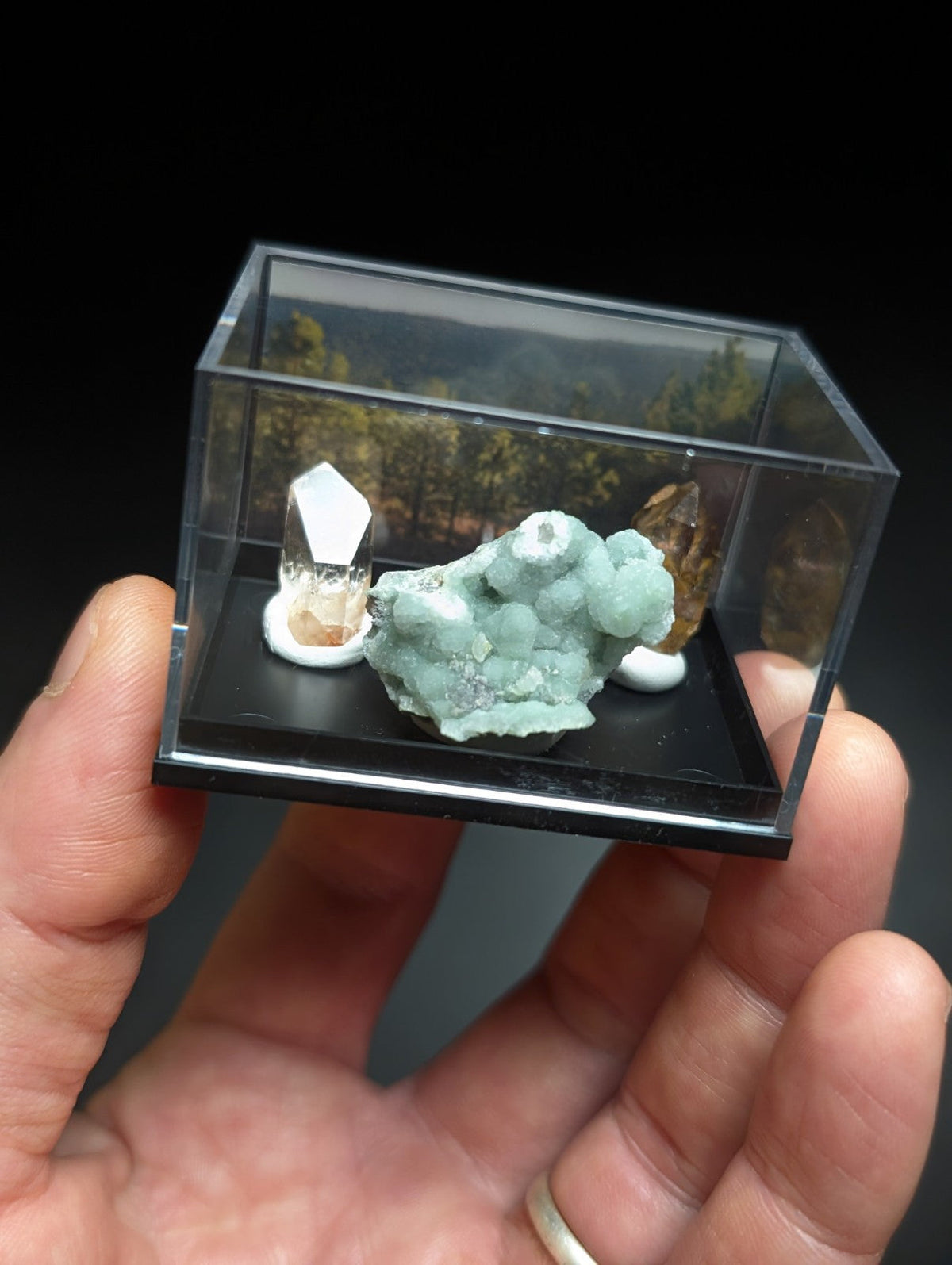 Wavellite + Quartz Set of 3 w/ case - Old Stock - Montgomery County Arkansas - Collectibles:Rocks Fossils &
