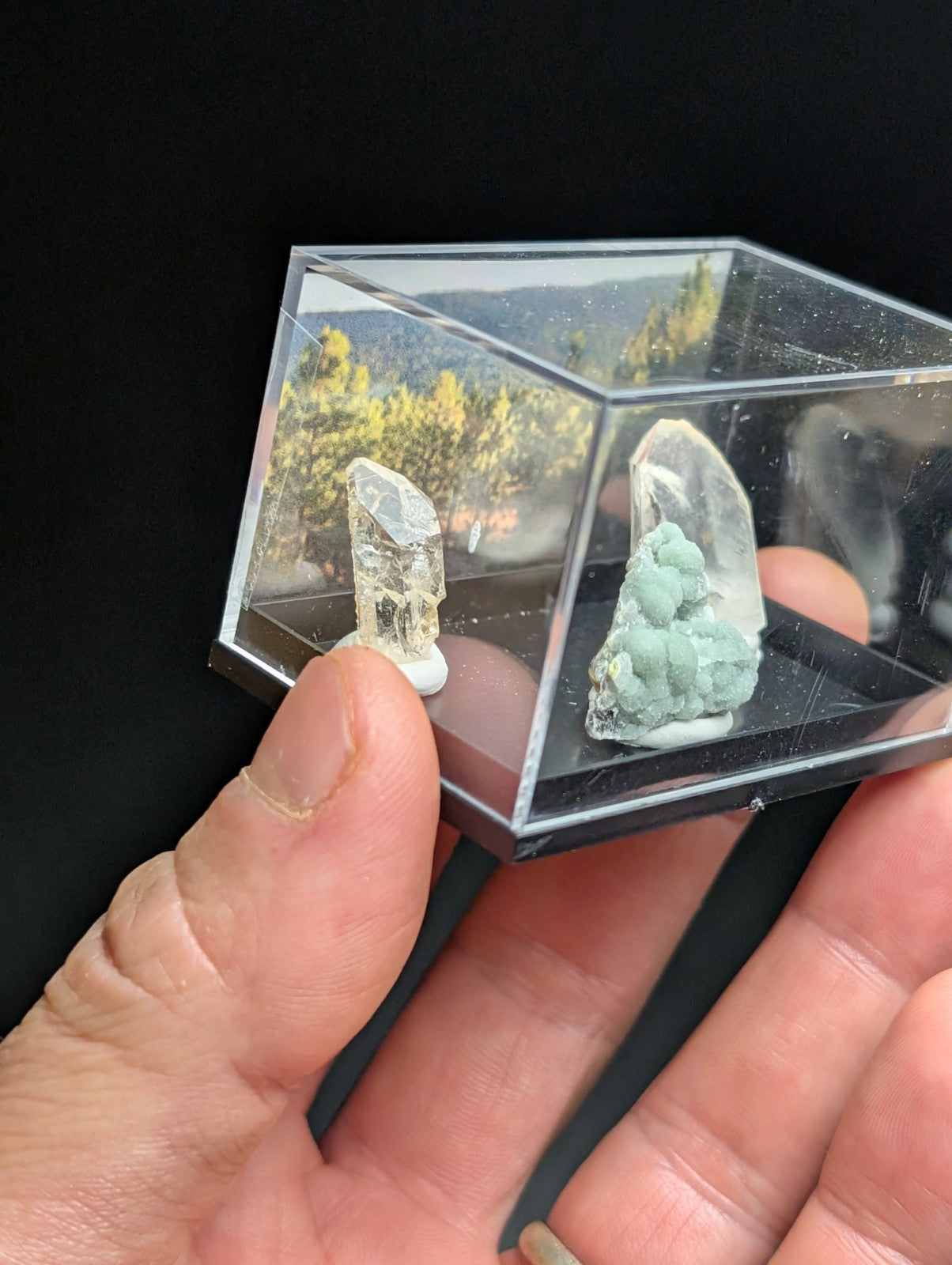 A clear acrylic display case holding two distinct mineral specimens, one transparent with a white base and the other featuring greenish-blue crystalline formations.