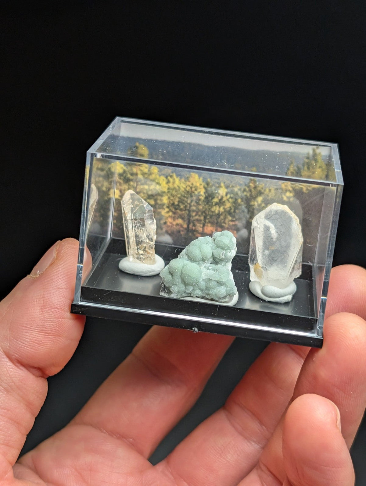 A clear acrylic display case holding three mineral specimens: two translucent quartz crystals with white bases and one light green, bumpy mineral cluster.