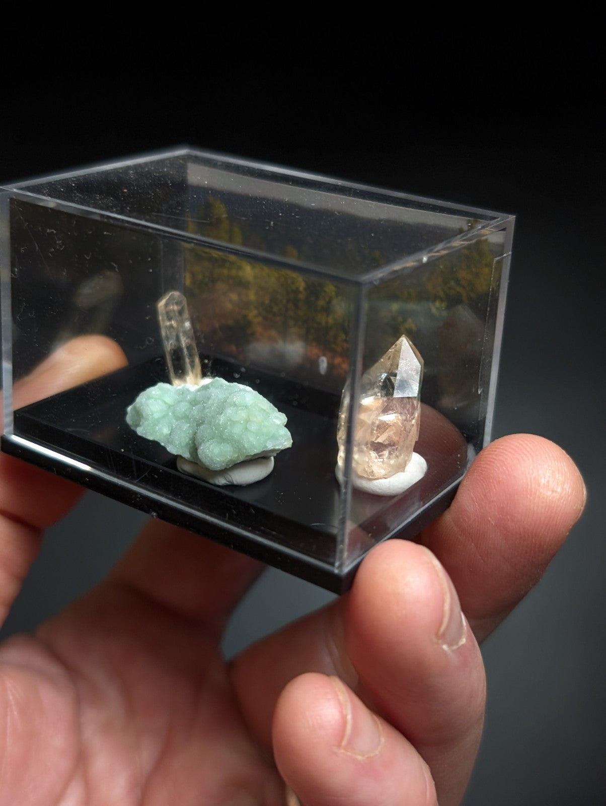 A clear acrylic display case holding two mineral specimens: a green, brain-like rock with a vertical quartz crystal emerging from it and another translucent pinkish-orange quartz crystal on a white base.