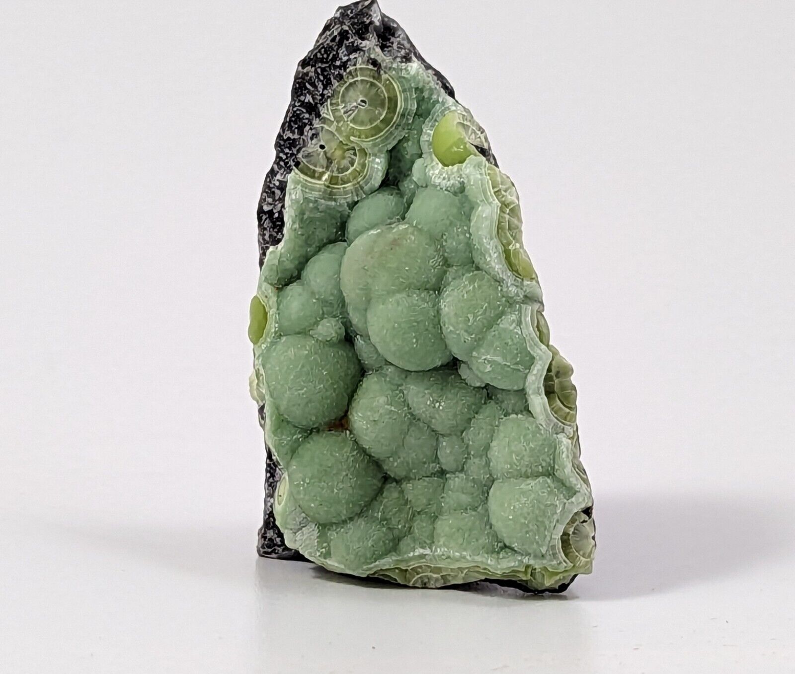 Wavellite - Rare 1990s Old Stock - Montgomery co. Arkansas - Fantastic Specimen - Collectibles:Rocks Fossils &