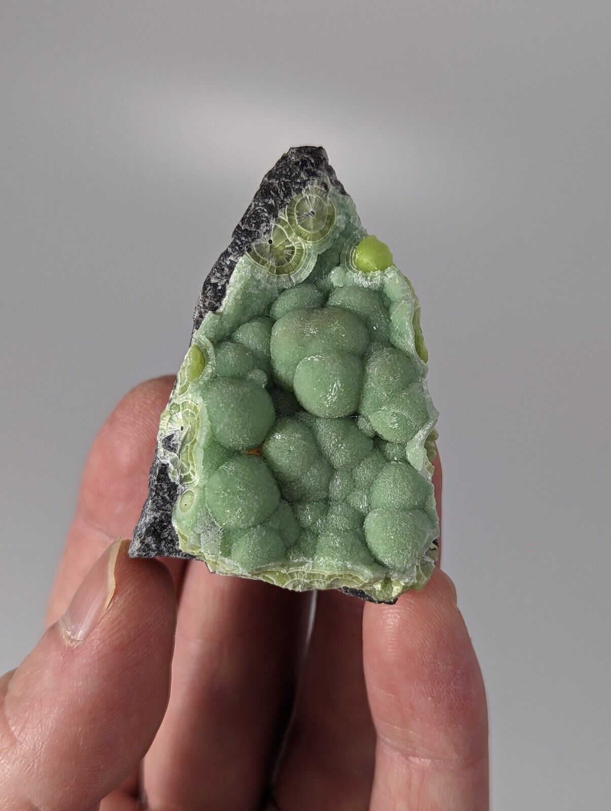 Wavellite - Rare 1990s Old Stock - Montgomery co. Arkansas - Fantastic Specimen - Collectibles:Rocks Fossils &