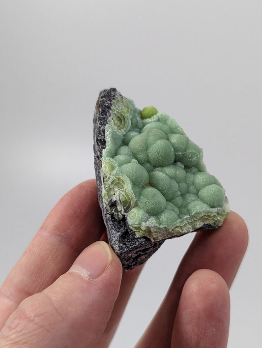 Wavellite - Rare 1990s Old Stock - Montgomery co. Arkansas - Fantastic Specimen - Collectibles:Rocks Fossils &