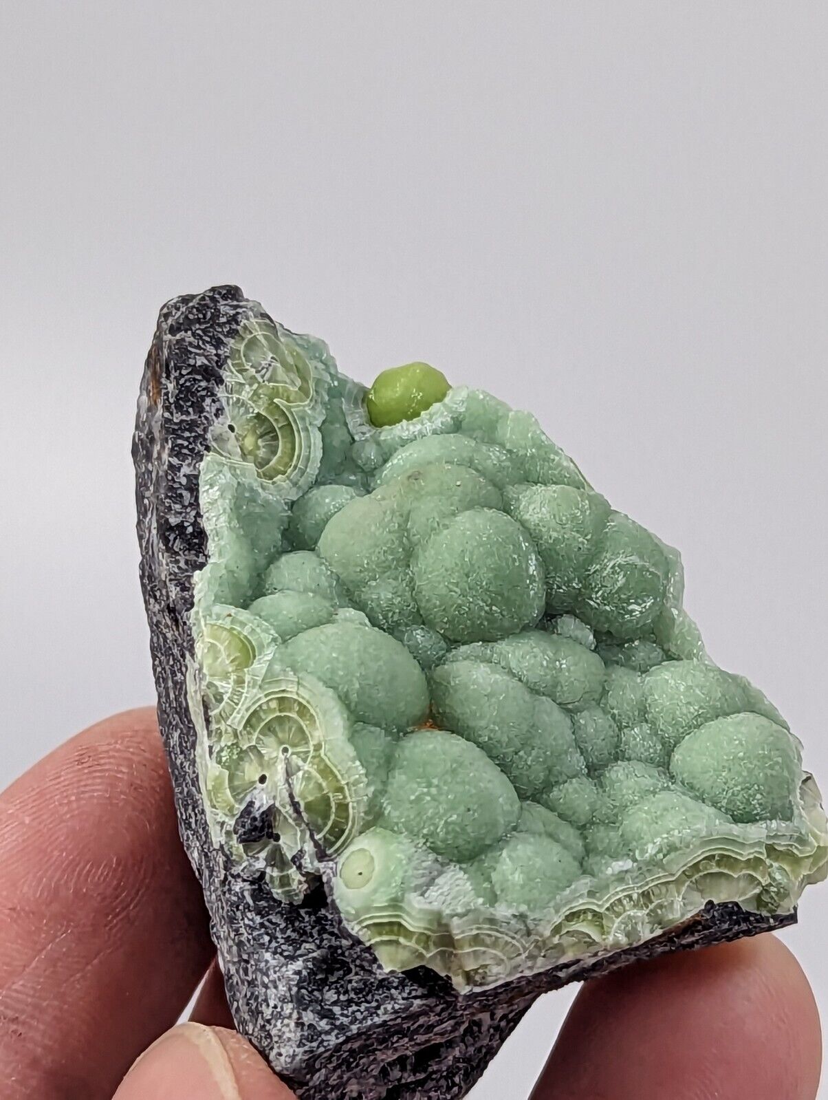 Wavellite - Rare 1990s Old Stock - Montgomery co. Arkansas - Fantastic Specimen - Collectibles:Rocks Fossils &