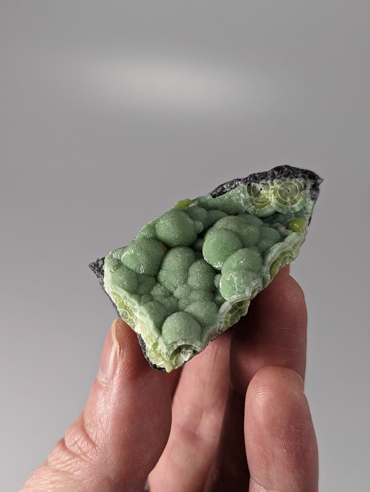 Wavellite - Rare 1990s Old Stock - Montgomery co. Arkansas - Fantastic Specimen - Collectibles:Rocks Fossils &