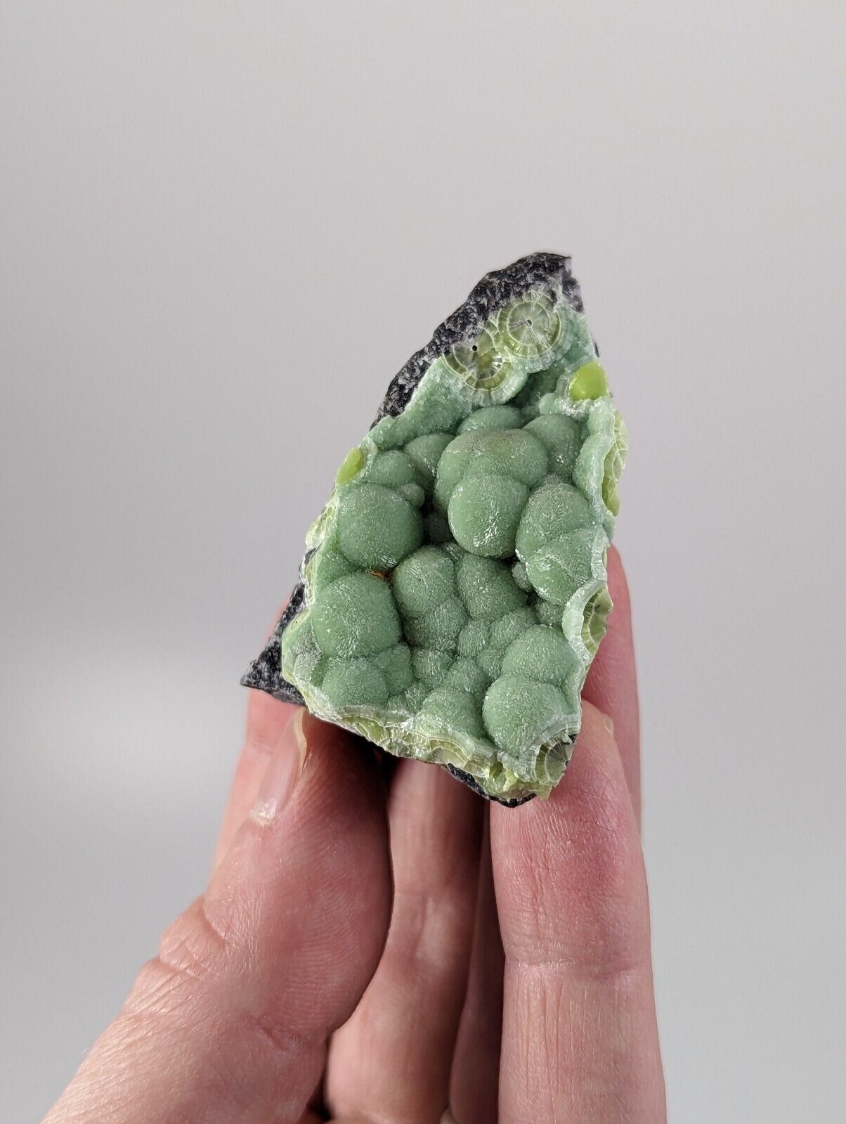 Wavellite - Rare 1990s Old Stock - Montgomery co. Arkansas - Fantastic Specimen - Collectibles:Rocks Fossils &