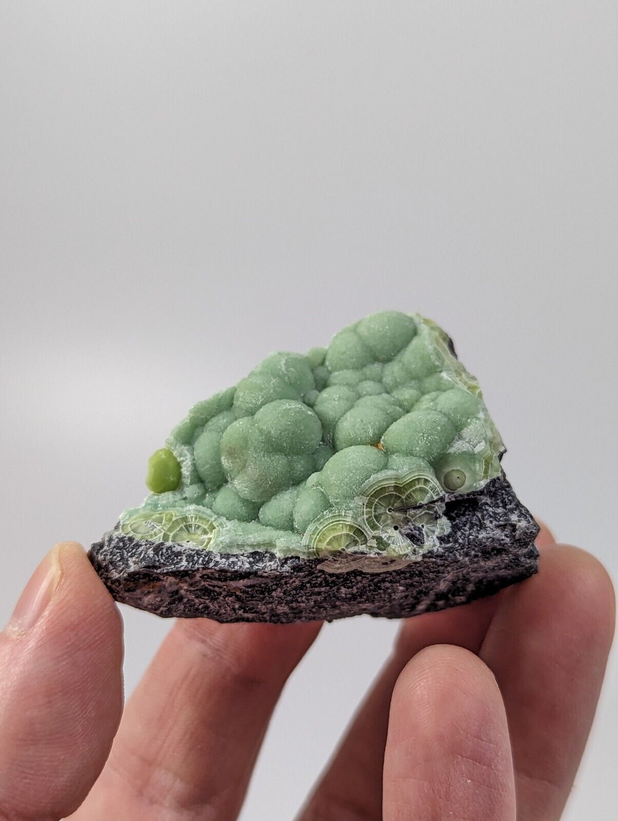 Wavellite - Rare 1990s Old Stock - Montgomery co. Arkansas - Fantastic Specimen - Collectibles:Rocks Fossils &