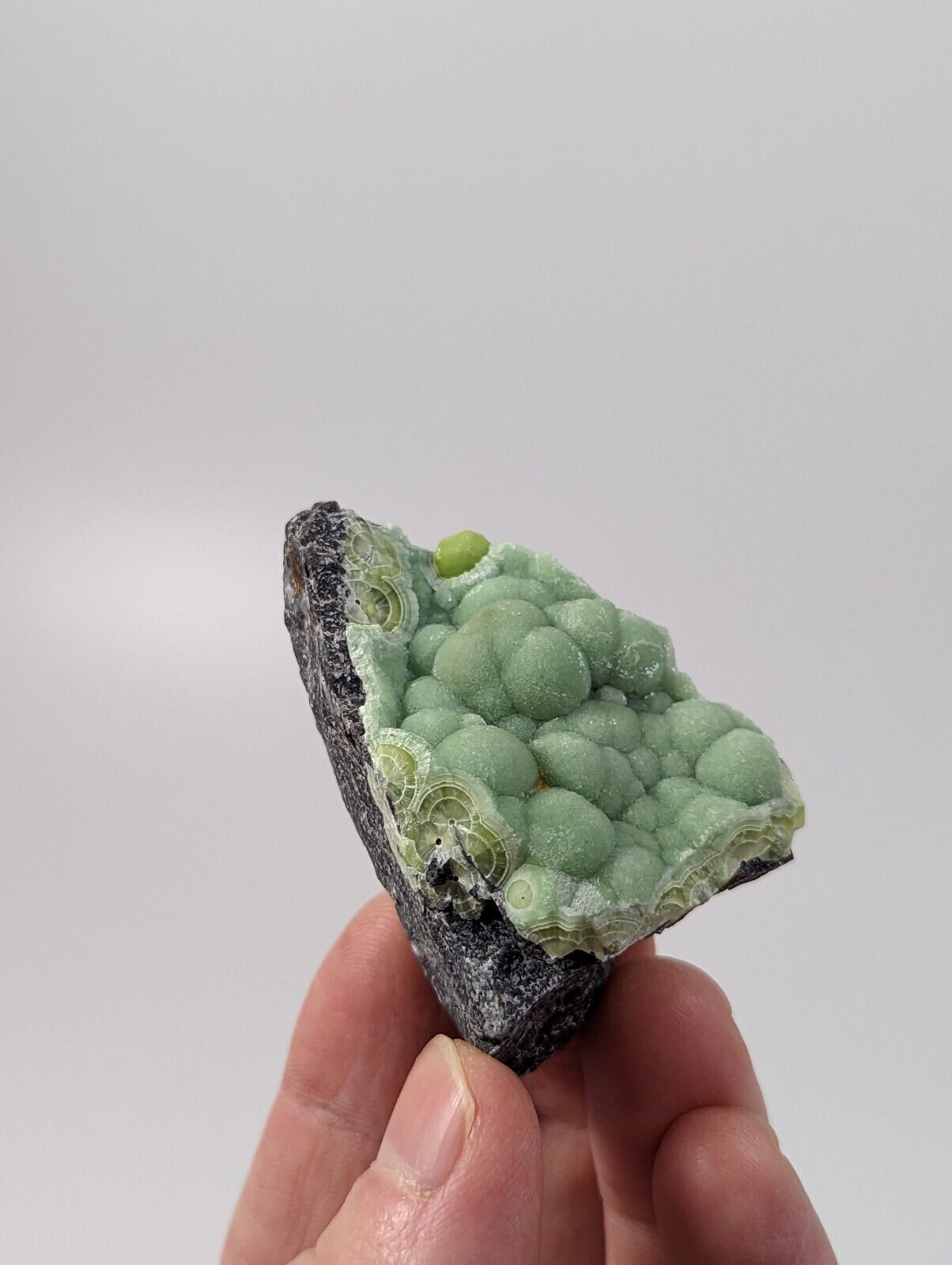Wavellite - Rare 1990s Old Stock - Montgomery co. Arkansas - Fantastic Specimen - Collectibles:Rocks Fossils &