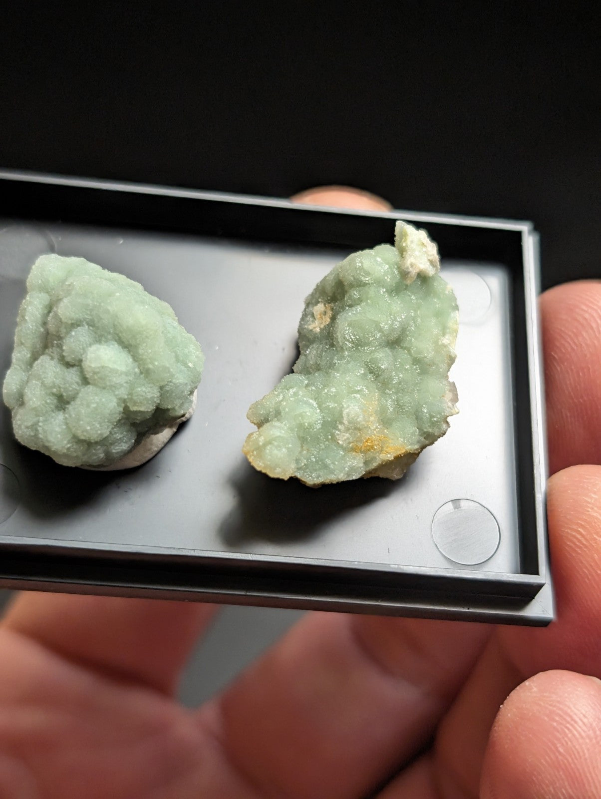 Two light green, crystalline mineral specimens with a slightly translucent and bumpy surface texture are displayed in a sleek black rectangular presentation box.
