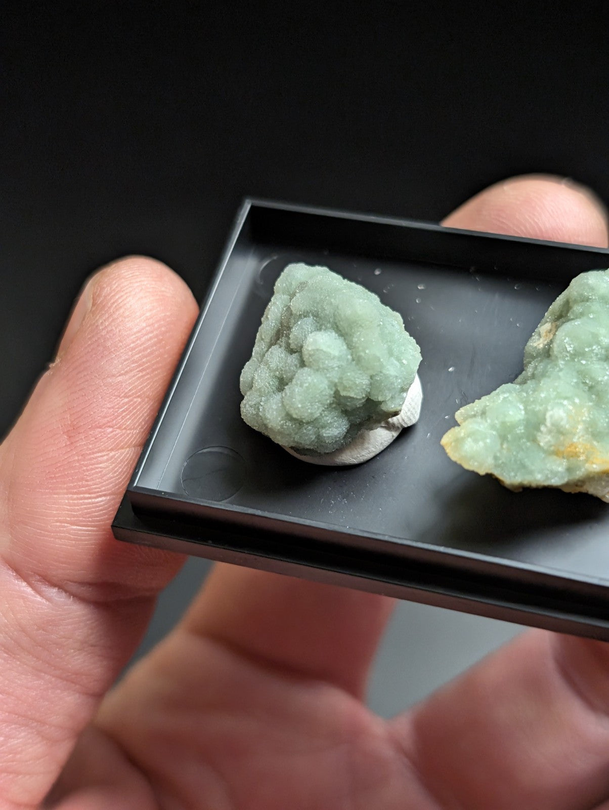 Two light green, crystalline mineral specimens with a rough, textured surface are displayed in a black rectangular tray.