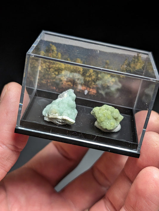 Wavellite Set of 2 w/ photo case - Old Stock - Montgomery County Arkansas - Collectibles:Rocks Fossils &