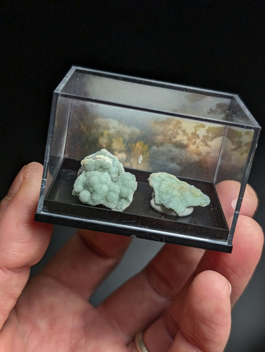 Two light green mineral specimens in a display case.