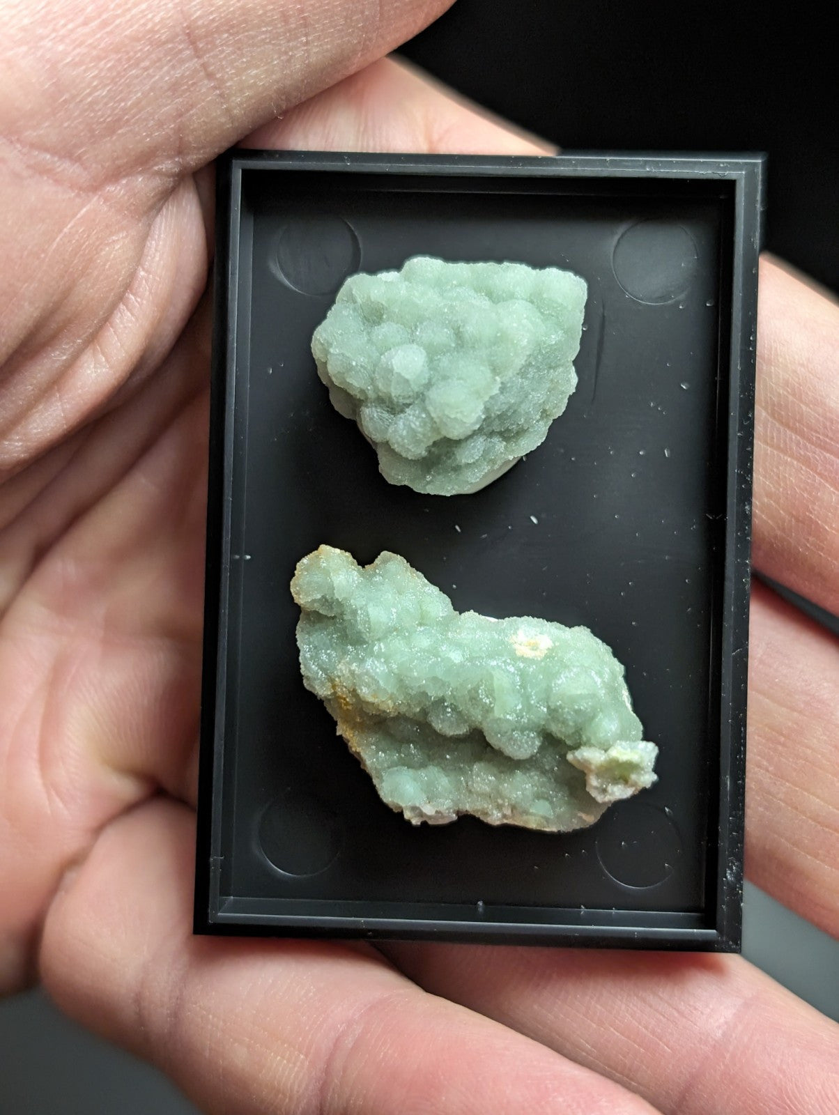 Two pale green, crystalline mineral specimens with a rough, textured surface are displayed in a black rectangular display case.