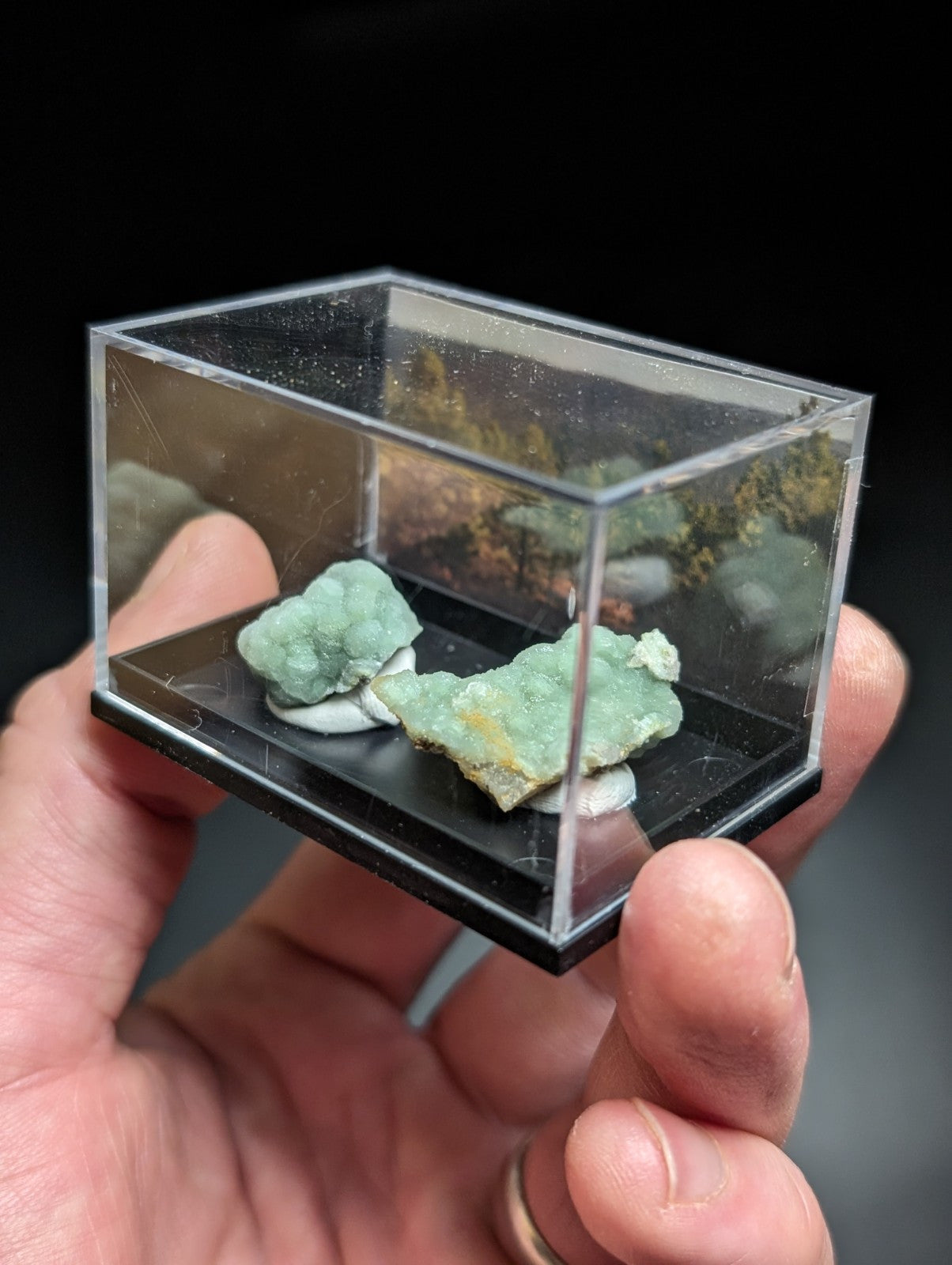 Two light green, crystalline mineral specimens rest inside a clear acrylic display case with a black base.