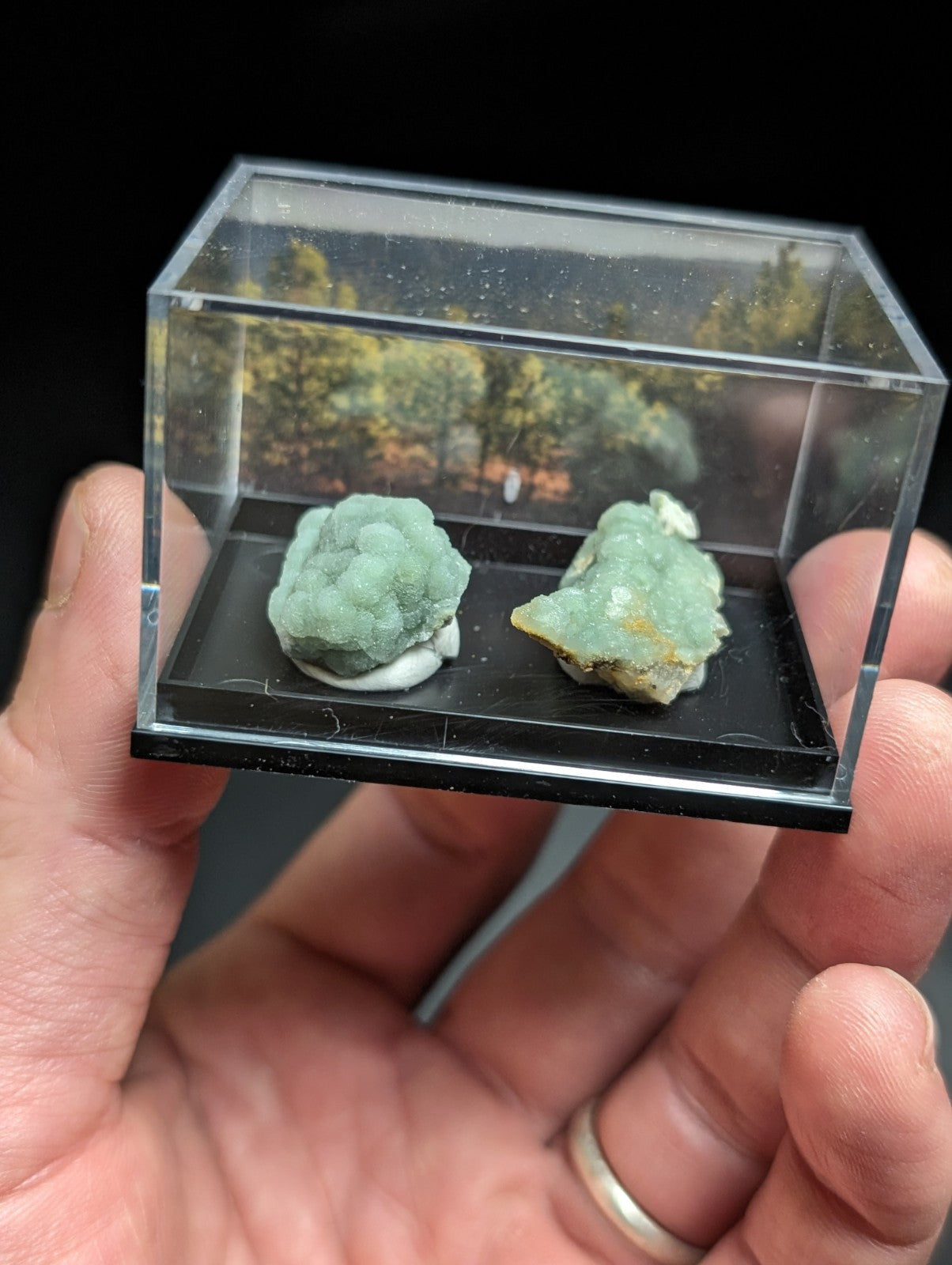 Two small, textured green mineral specimens nestled in a clear acrylic display case with a black base.