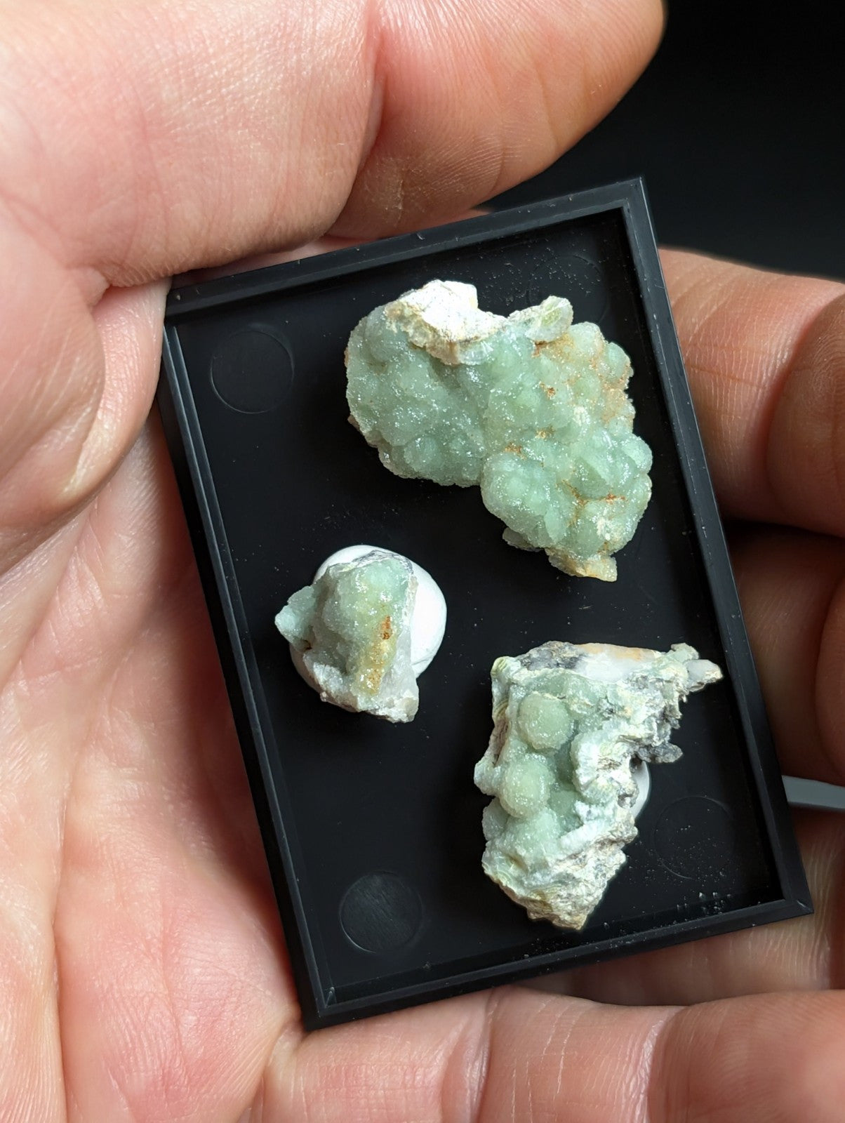 Three light green, crystalline mineral specimens with white and yellowish matrixes are displayed in a black rectangular display case.