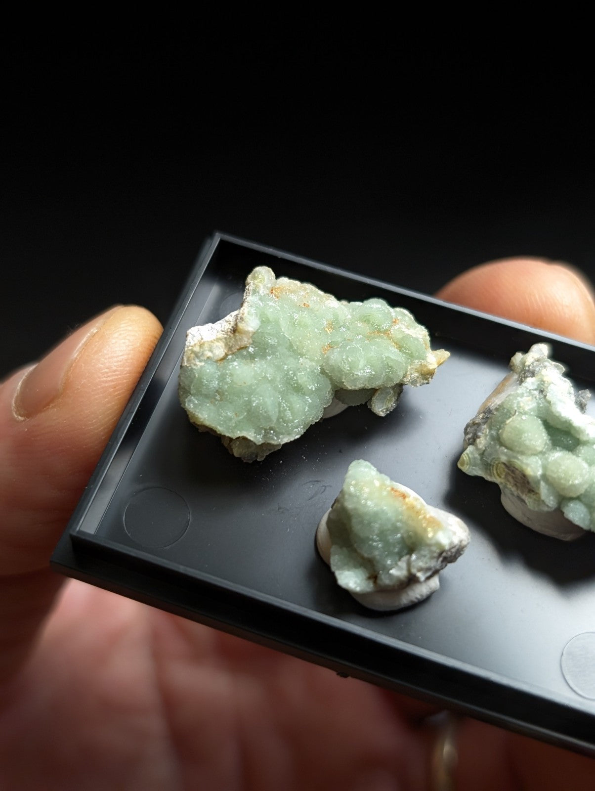 Three light green, crystalline mineral specimens with a slightly translucent and textured surface are displayed in a black rectangular tray.