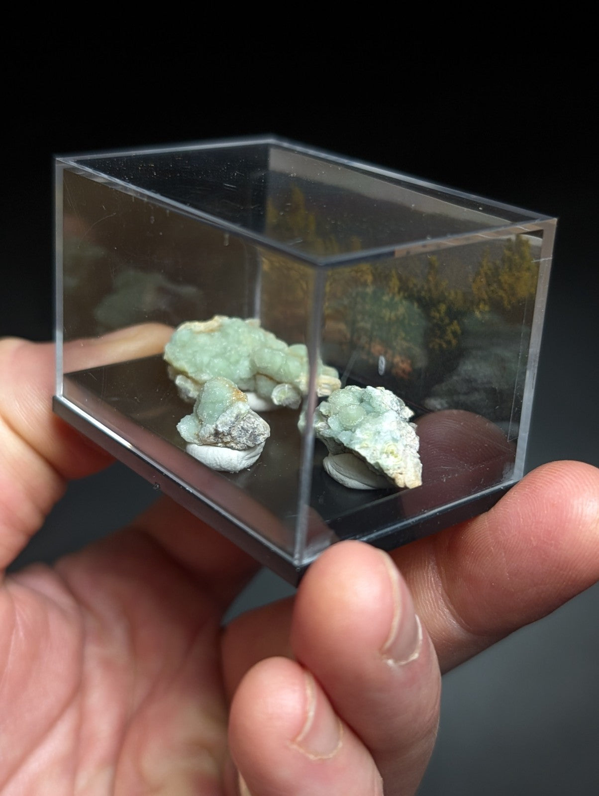 A clear acrylic display case holding two light green, textured mineral specimens with white and gray accents.