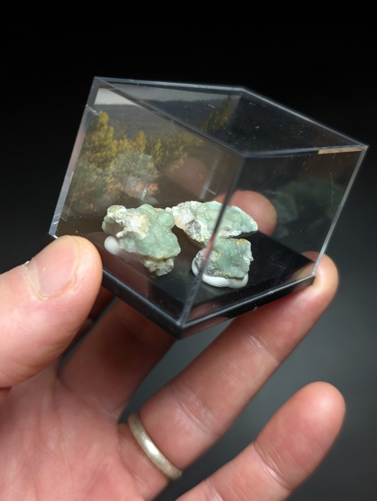 A clear acrylic display case holding two light green, irregularly shaped mineral specimens with white and gray veining.