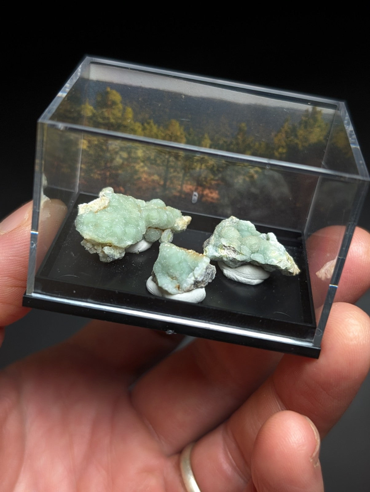 Three light green, textured mineral specimens displayed in a clear acrylic display case with black base.