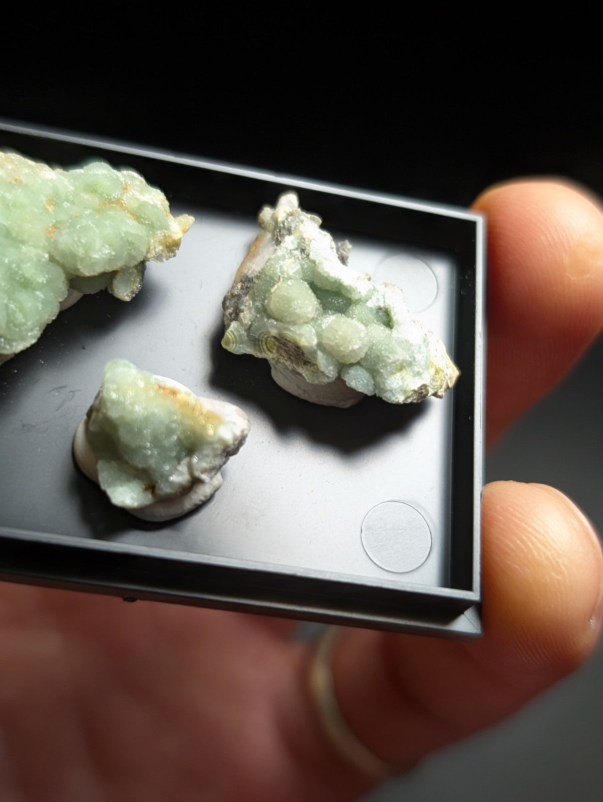 Three light green, crystalline mineral specimens with a rough, bumpy texture and some white or grayish matrix material are displayed in a black rectangular tray.
