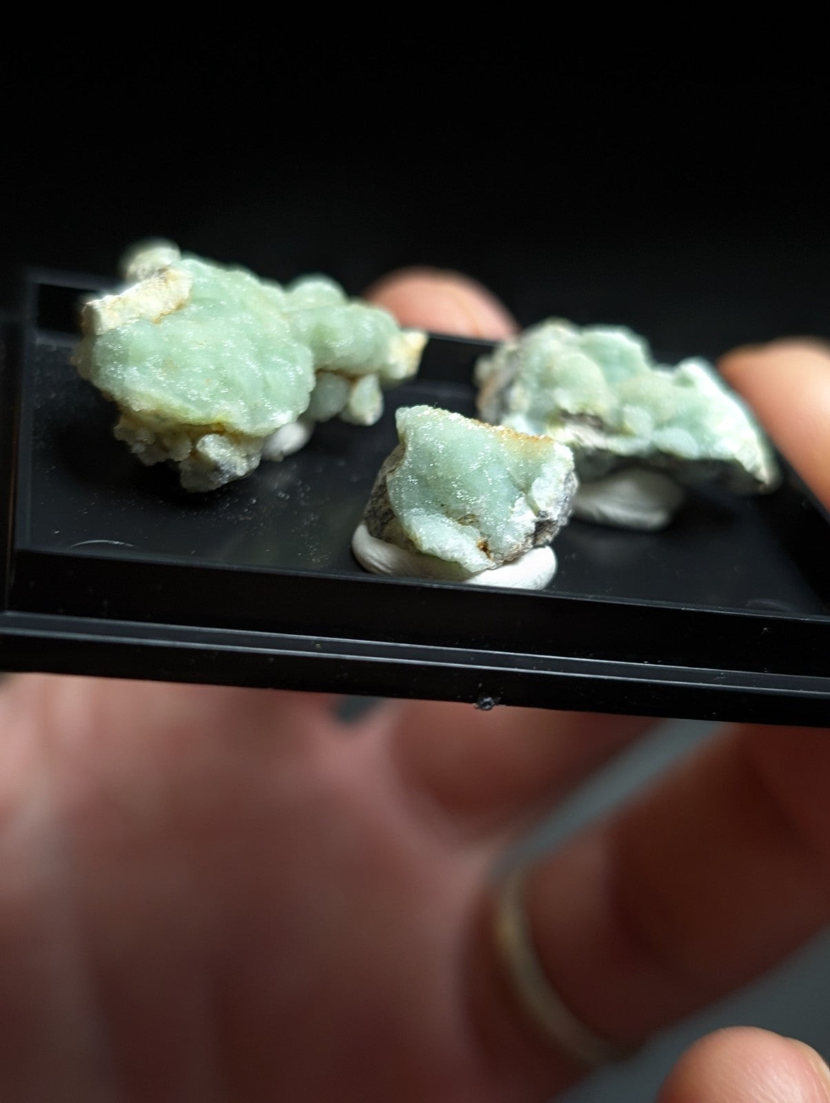 Three light green, crystalline mineral specimens with white and gray matrixes are displayed in a black tray.
