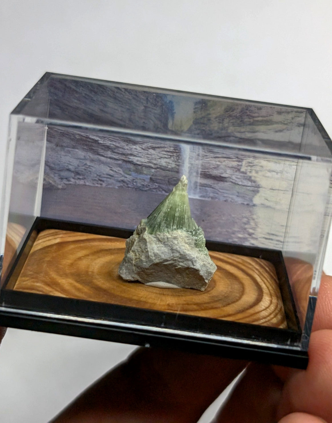 A green, crystalline mineral specimen with a pointed tip sits atop a wooden base inside a clear acrylic display case.