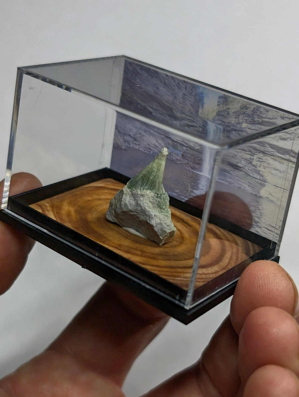 A green and gray mineral specimen displayed in a clear acrylic display case with a wooden base.