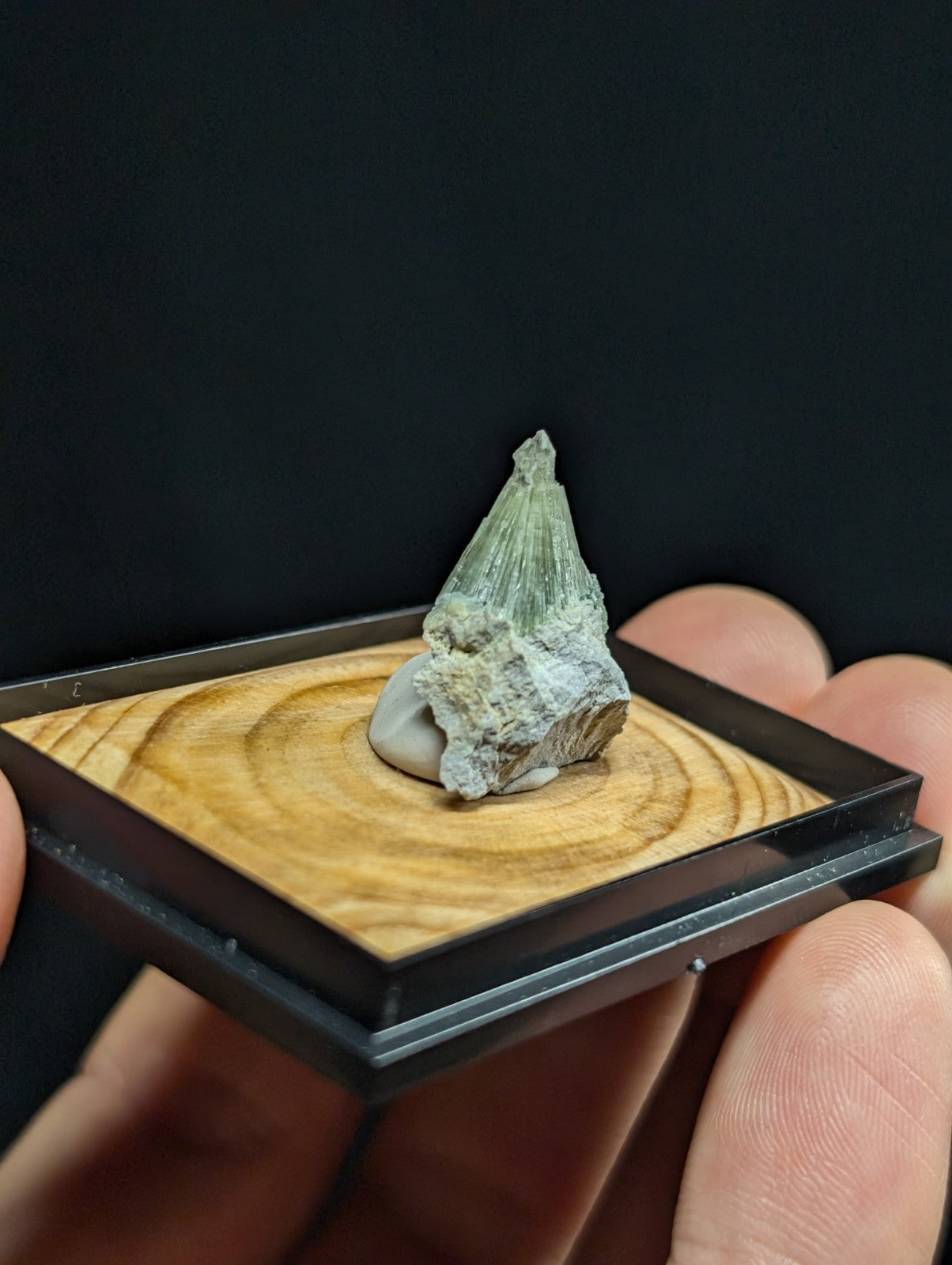 A greenish, crystalline mineral specimen with a pointed tip and rough texture sits atop a circular white base within a square wooden display frame.