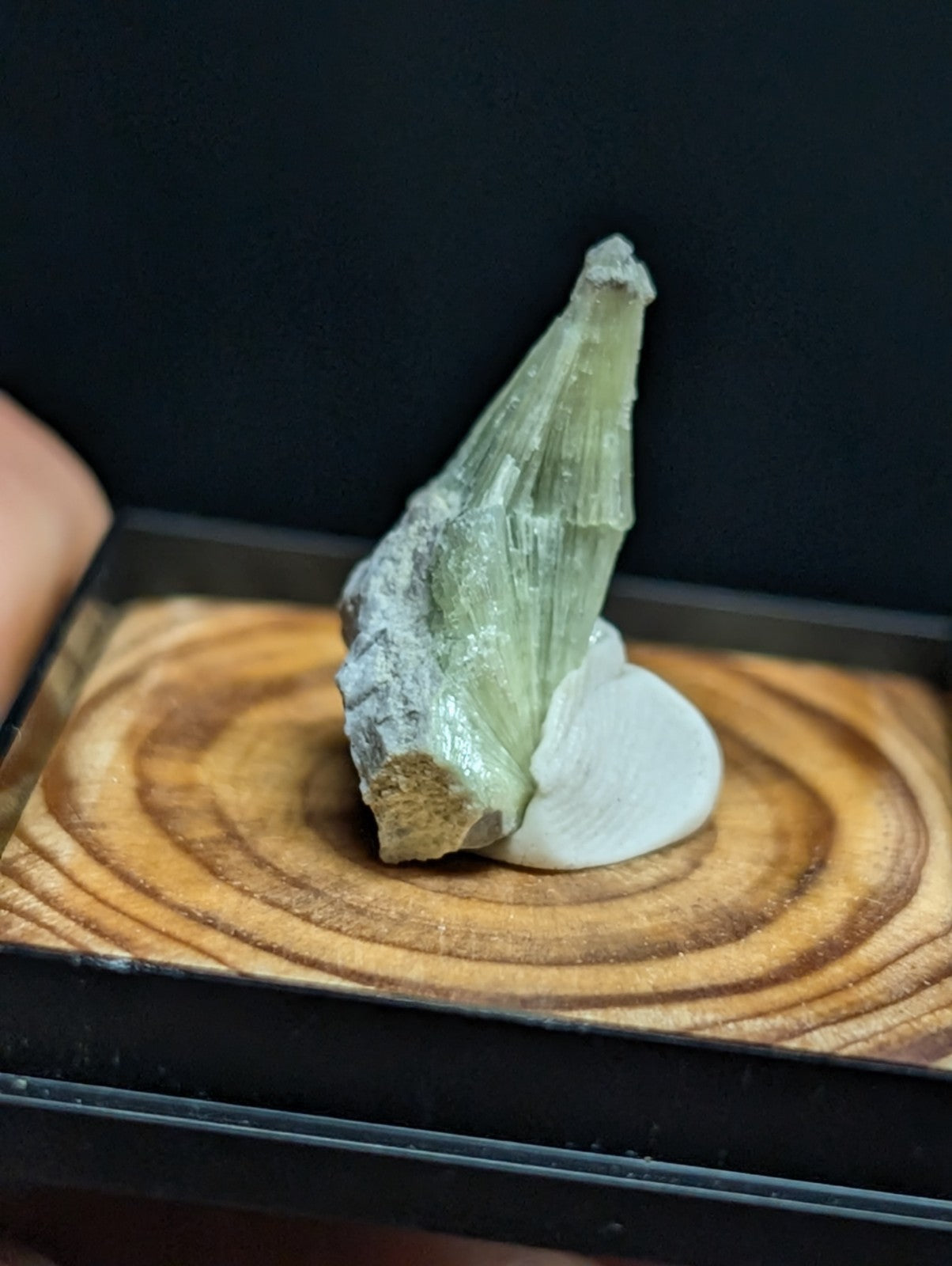 A translucent green mineral crystal with a pointed, faceted tip and rougher base rests on a white cushion atop a circular wooden display board.