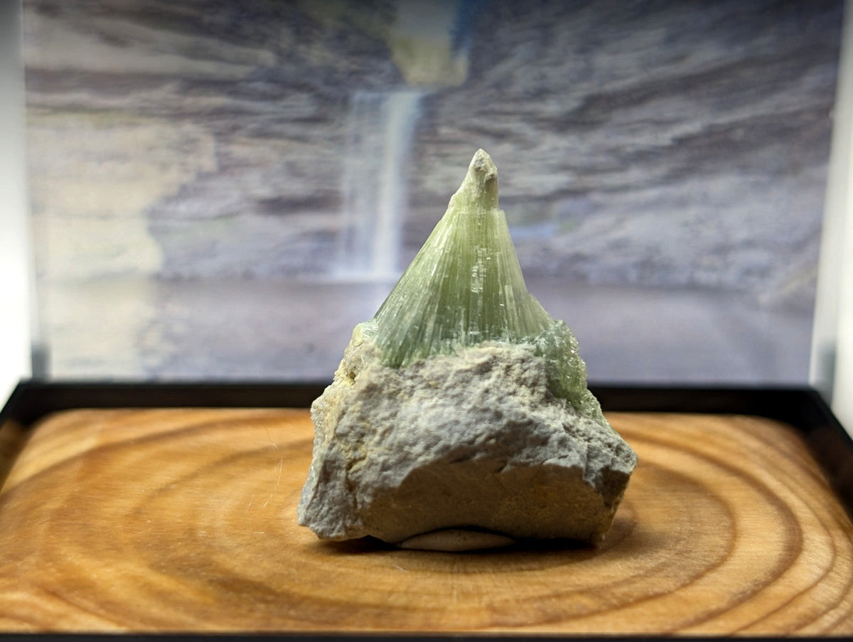 A translucent green mineral crystal formation with sharp, radiating facets emerging from a rough gray rock base.