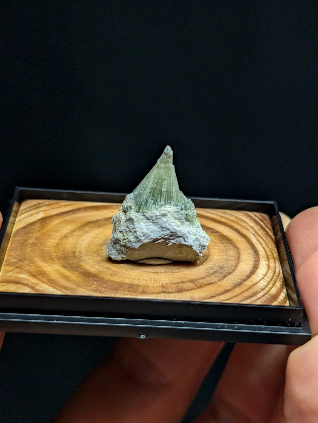 A translucent green crystal with a pointed, faceted tip sits atop a circular wooden base within a black display tray.
